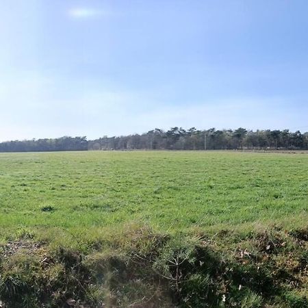 Kindvriendelijke Bungalow In Het Bos Bij Zwemmeer. Vilsteren Bagian luar foto