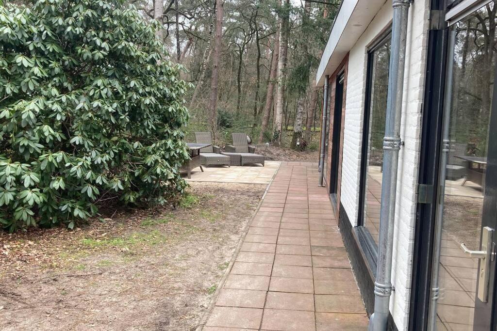 Kindvriendelijke Bungalow In Het Bos Bij Zwemmeer. Vilsteren Bagian luar foto