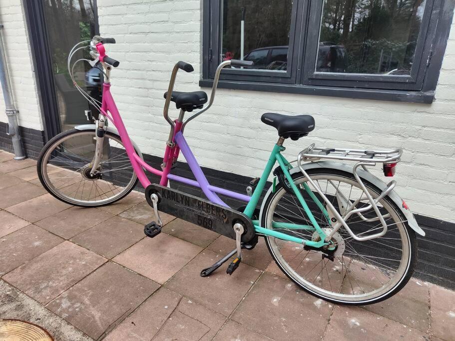 Kindvriendelijke Bungalow In Het Bos Bij Zwemmeer. Vilsteren Bagian luar foto