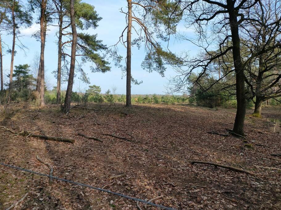 Kindvriendelijke Bungalow In Het Bos Bij Zwemmeer. Vilsteren Bagian luar foto