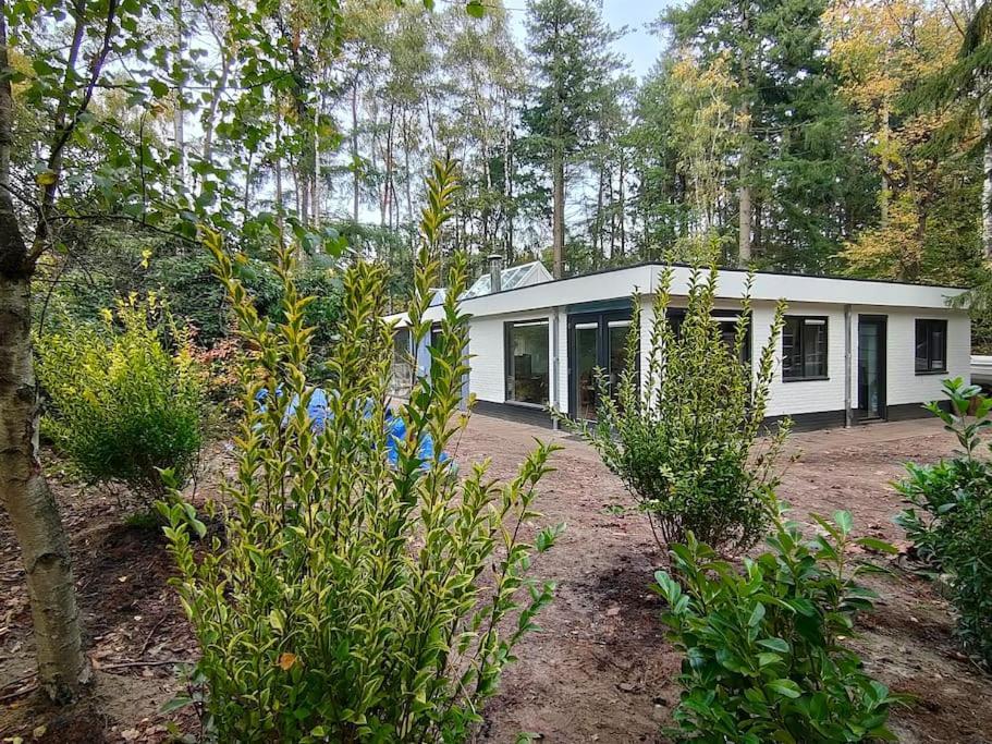Kindvriendelijke Bungalow In Het Bos Bij Zwemmeer. Vilsteren Bagian luar foto
