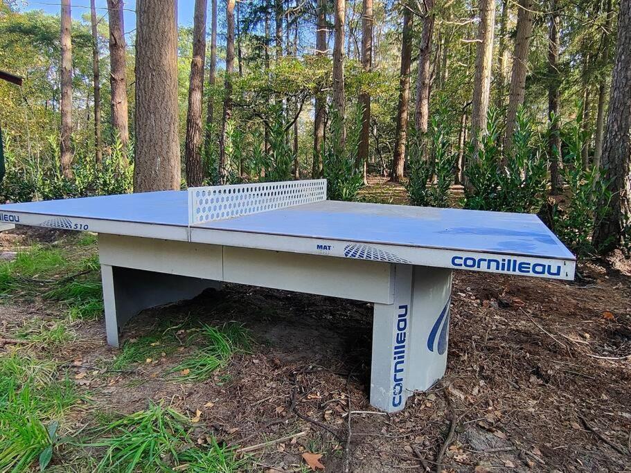 Kindvriendelijke Bungalow In Het Bos Bij Zwemmeer. Vilsteren Bagian luar foto