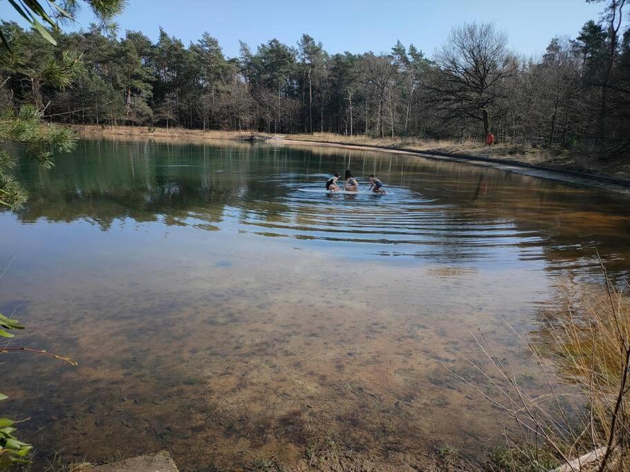 Kindvriendelijke Bungalow In Het Bos Bij Zwemmeer. Vilsteren Bagian luar foto