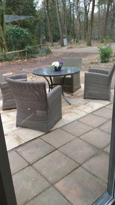Kindvriendelijke Bungalow In Het Bos Bij Zwemmeer. Vilsteren Bagian luar foto
