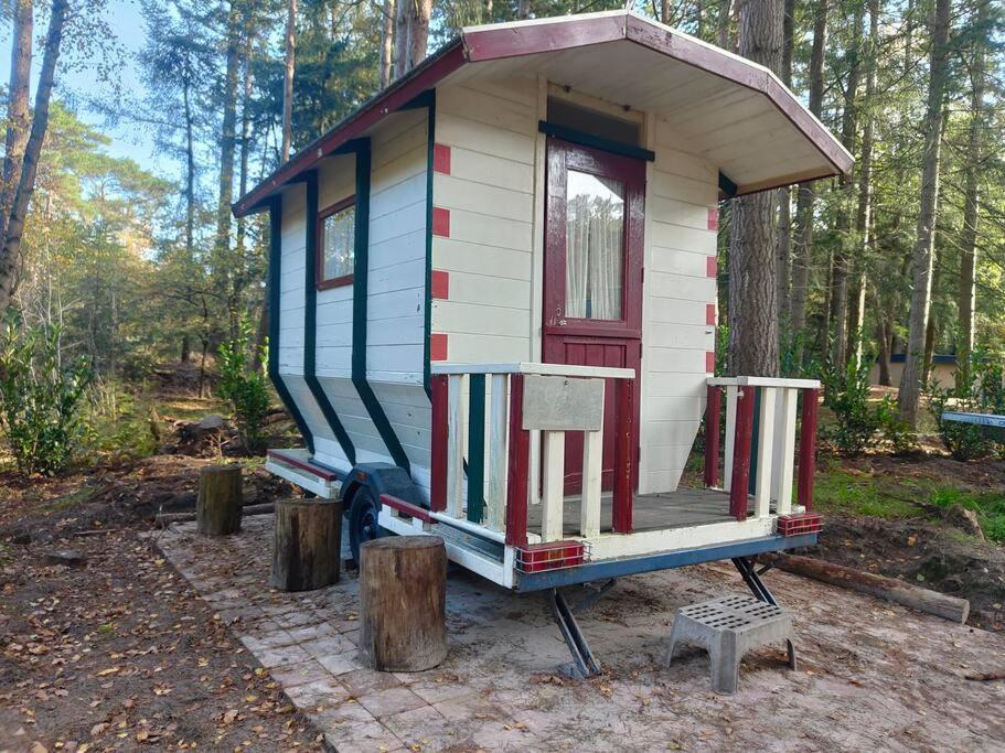 Kindvriendelijke Bungalow In Het Bos Bij Zwemmeer. Vilsteren Bagian luar foto