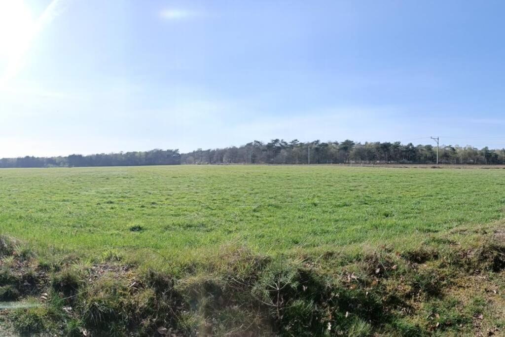 Kindvriendelijke Bungalow In Het Bos Bij Zwemmeer. Vilsteren Bagian luar foto