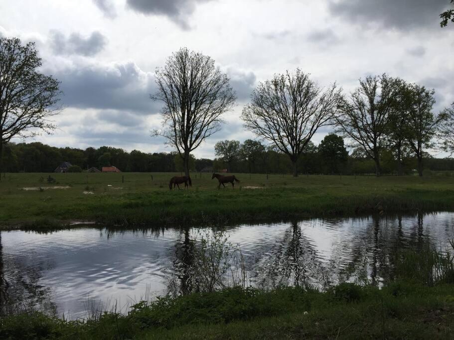 Kindvriendelijke Bungalow In Het Bos Bij Zwemmeer. Vilsteren Bagian luar foto