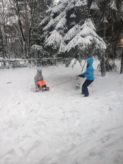 Kindvriendelijke Bungalow In Het Bos Bij Zwemmeer. Vilsteren Bagian luar foto